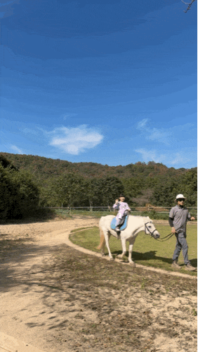 부산근교 울산 아이랑 가볼만한곳 포니랜드 승마체험 동물 먹이주기 체험