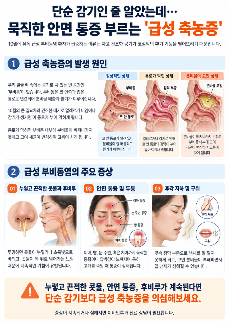 묵직한 두통 부르는 '급성 축농증'과 응급 질환 '돌발성 난청'