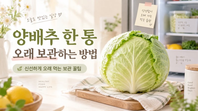 양배추 한 통 오래 보관하는 방법｜끝까지 싱싱하게 먹는 냉장·냉동 보관 꿀팁