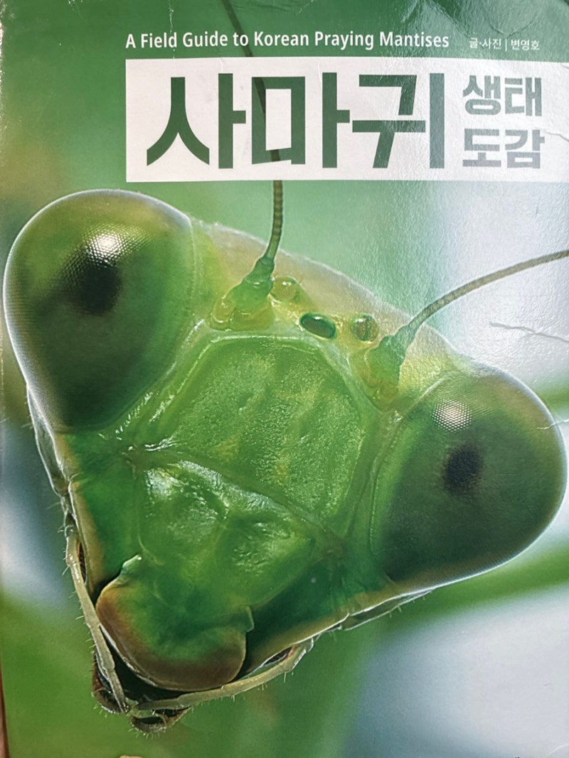 사마귀 생태도감