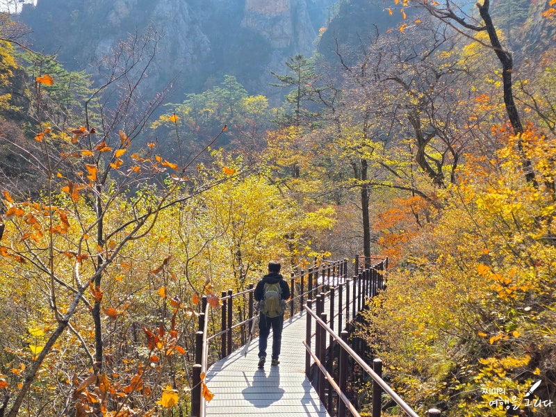 속초 설악산 단풍 오색 코스 흘림골 주전골 한계령 등산