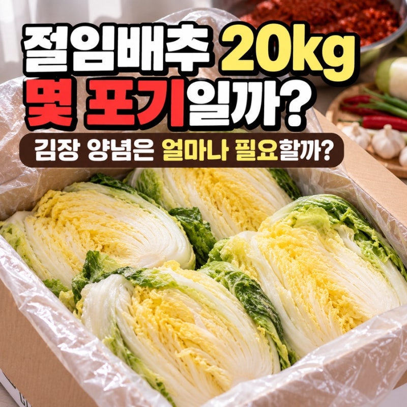 절임배추 20kg 몇 포기일까? 김장 양념 비율부터 구매 전 확인할 것