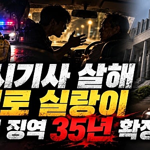 택시기사 살해 경로 실랑이 20대 징역 35년 확정 충격적인 사건 전말/2025년 6월 26일 새벽 경기 ....