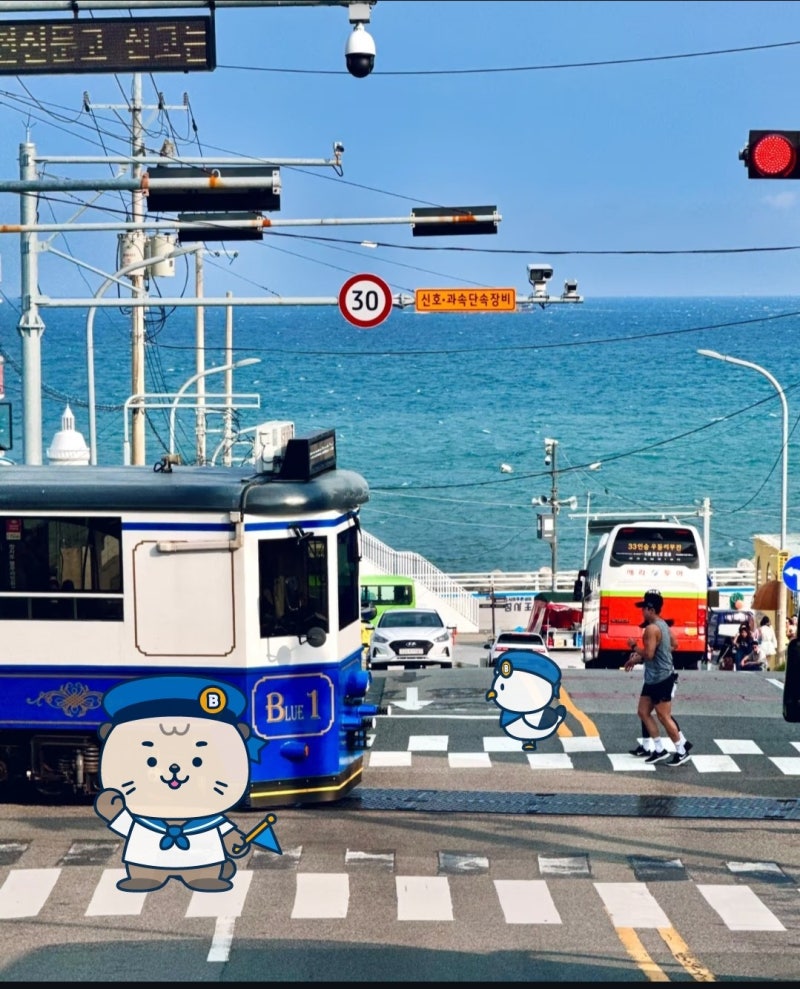 [부산 여행] 부산 해운대 블루라인파크 해변 열차 예약 팁, 코스 추천, 가격 꼼꼼 정보 정리