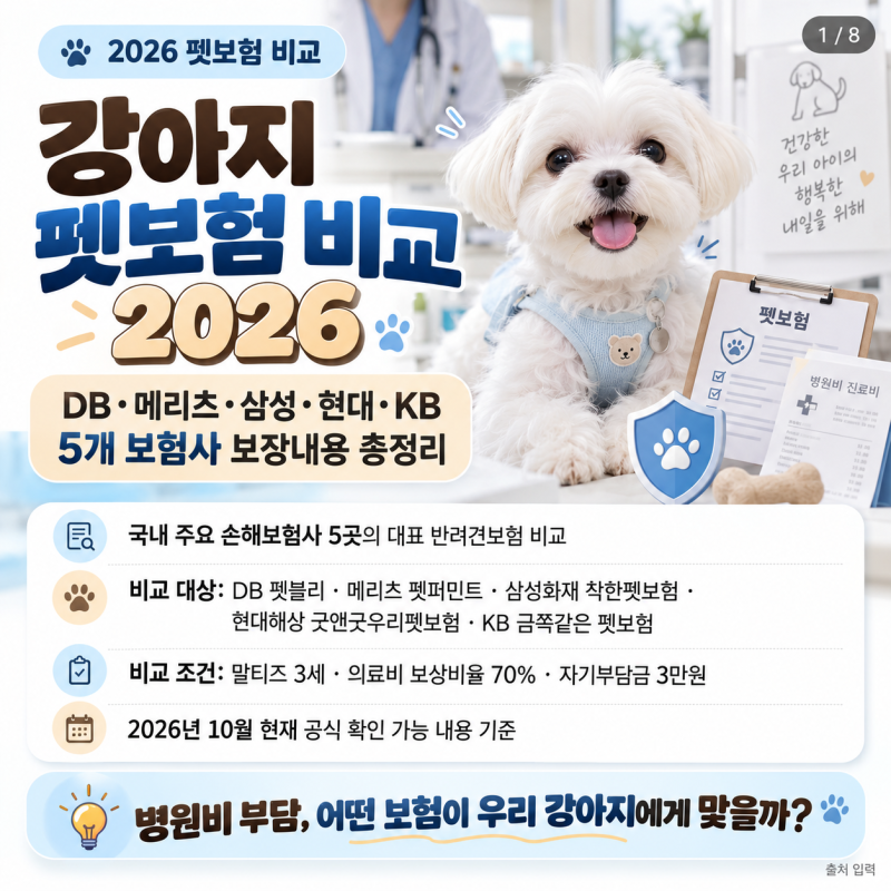 강아지 펫보험 비교 2026｜DB·메리츠·삼성·현대·KB 5개 보험사 보장내용 총정리