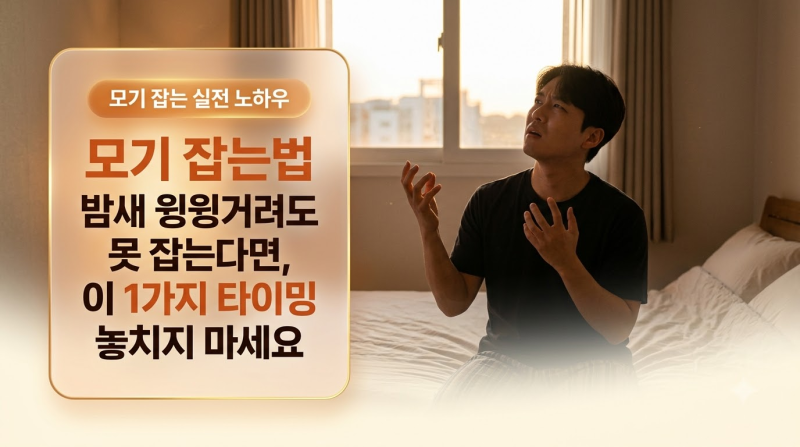 모기 잡는법 밤새 윙윙거려도 못 잡는다면, 이 1가지 타이밍 놓치지 마세요