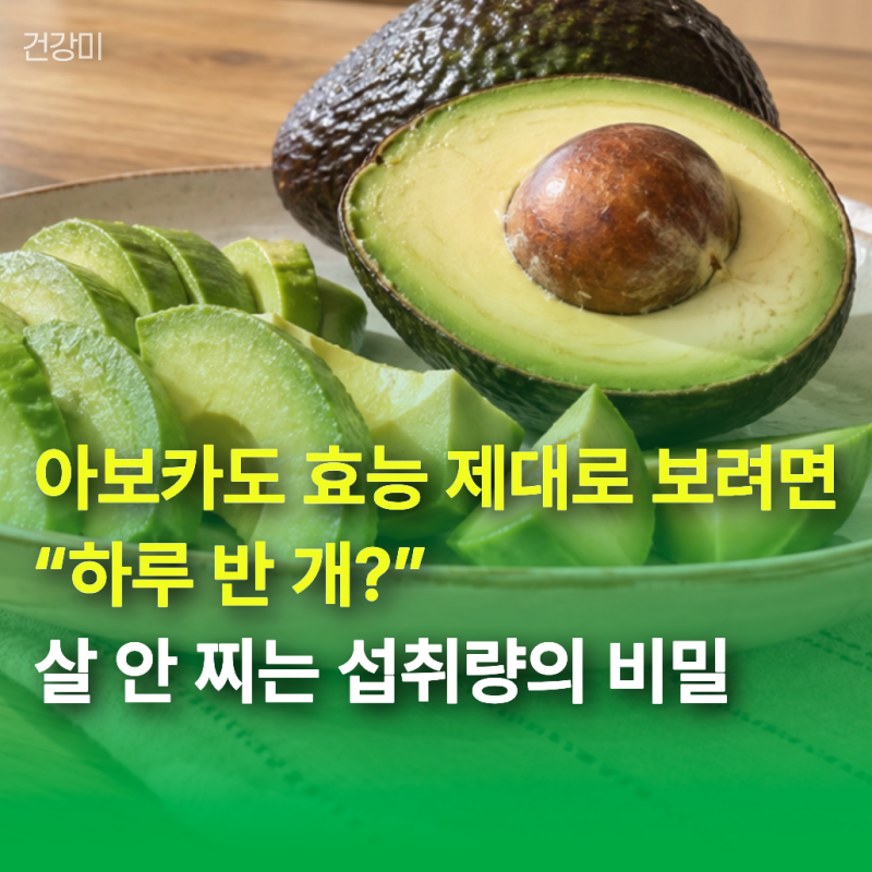 아보카도 효능 제대로 보려면 “하루 반 개?” 살 안 찌는 섭취량의 비밀