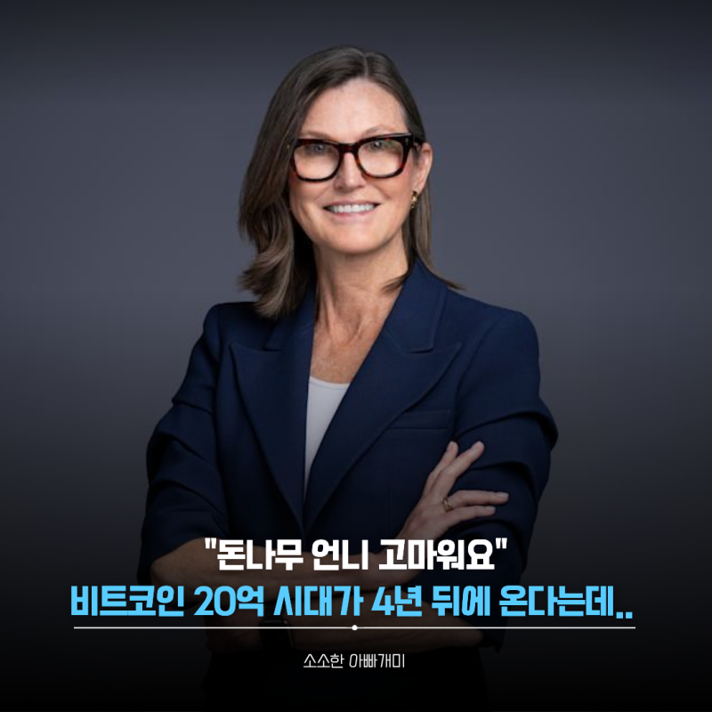 "돈나무 언니 고마워요" 비트코인 20억 시대가 4년 뒤에 온다.