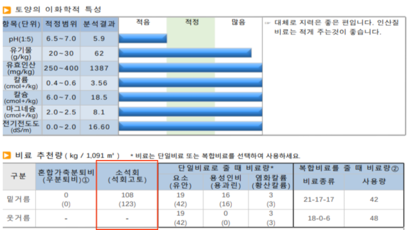 마늘 양파 밭만들기 총정리｜퇴비·석회·밑거름 주는 방법과 주의사항 5가지