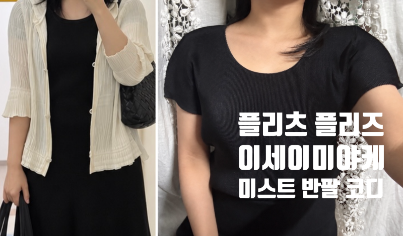 플리츠 플리즈 이세이 미야케 미스트 베이직 탑 블랙 착샷 후기