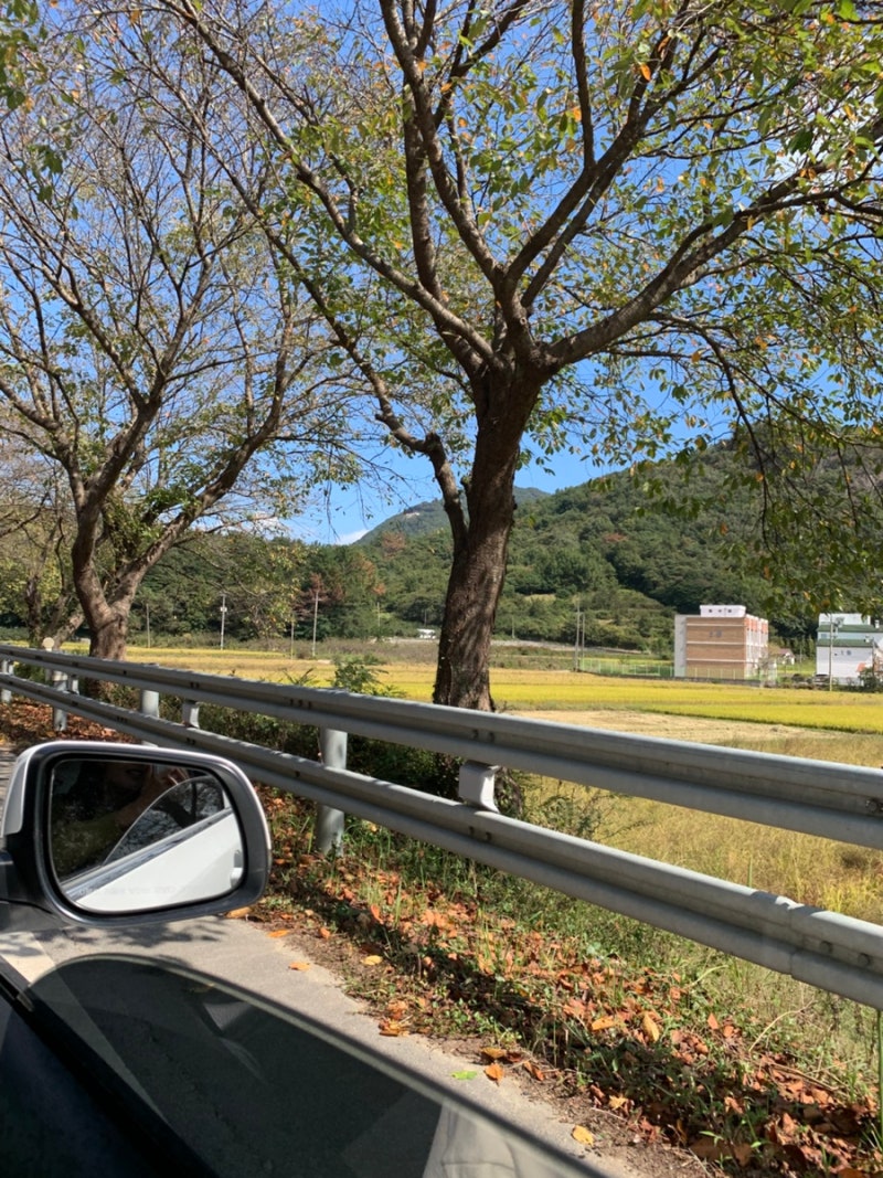 가을 하동 3박 4일 여행코스(1)｜구례 용화루, 행운분식, 오차커피공방, 하동 화개장터, 밤톨, ....