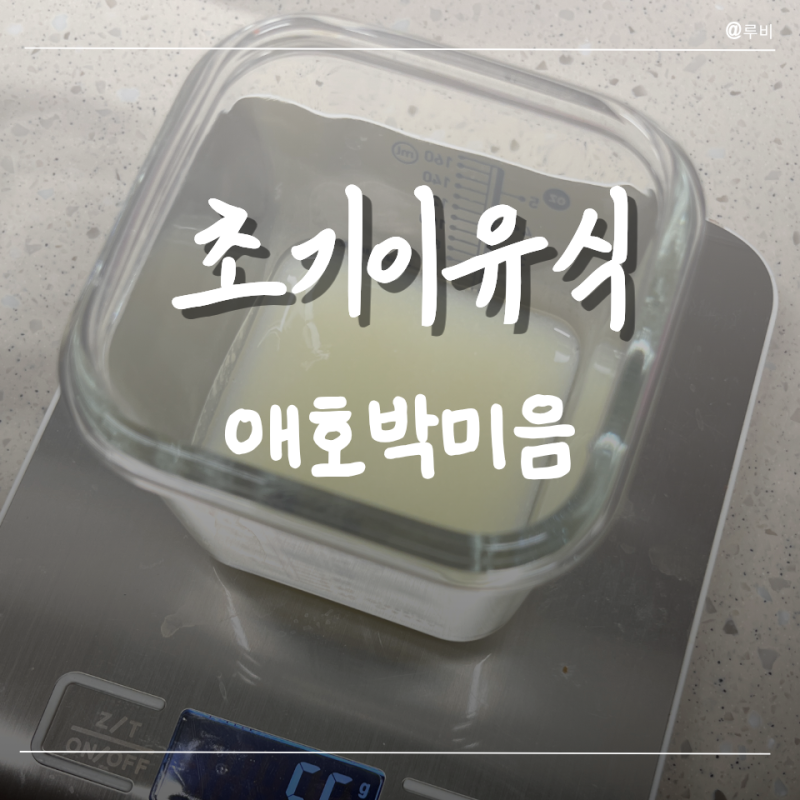 초기이유식 애호박미음 만드는 법 6개월 아기가 싹싹 비운 레시피