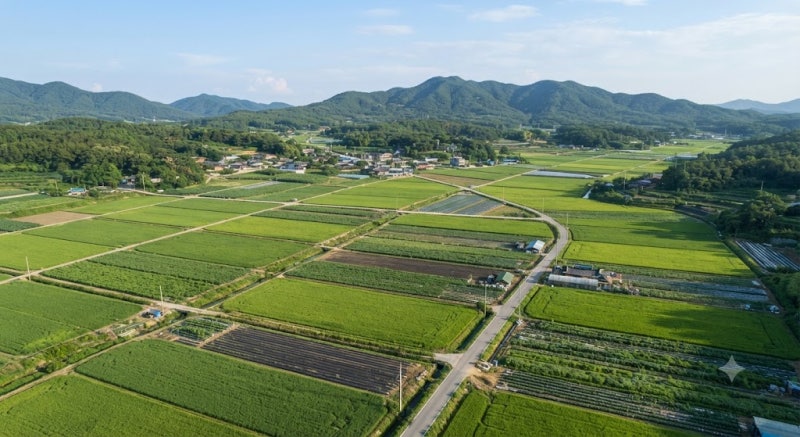2026 농지 전수조사 대상이라면? 위반 의심 오해와 현장 심층조사 대응 요령