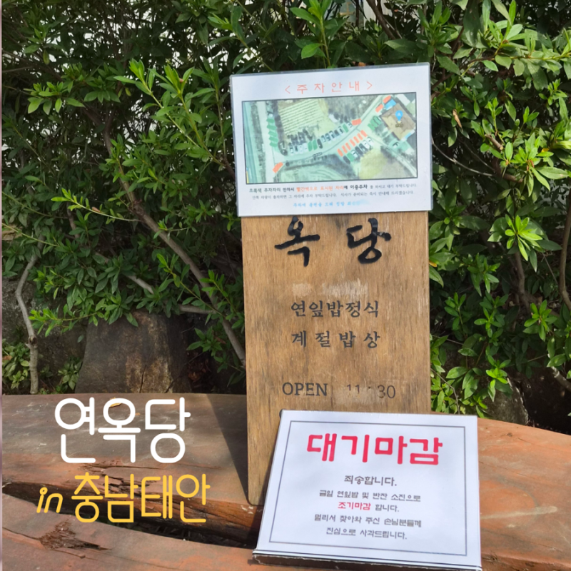 태안 청산수목원 근처 연옥당, 1시간 웨이팅 후 먹은 연잎밥정식