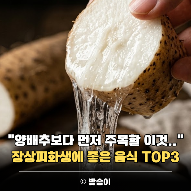 "양배추보다 먼저 주목할 이것.." 장상피화생에 좋은 음식 TOP3