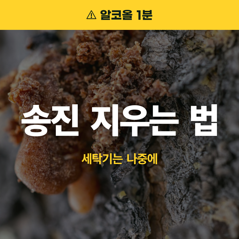 송진 지우는 법, 옷은 알코올 1분 적시기