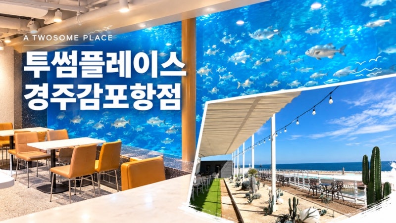 경주 아이와 가볼 만한 곳｜대형 수족관이 있는 감포 오션뷰 카페ㅣ포항수족관카페