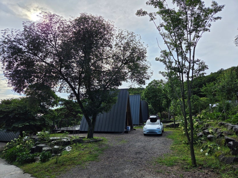 황매산 숲속야영장 캠퍼하우스 C101, 황매산 잣나무숲야영장 답사