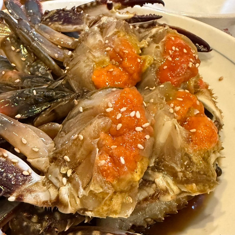 [여수|맛집] 낭만조개포차, 범앗간, 해상케이블카, 여수당, 피타베이커스, 꽃돌게장1번가, 신....
