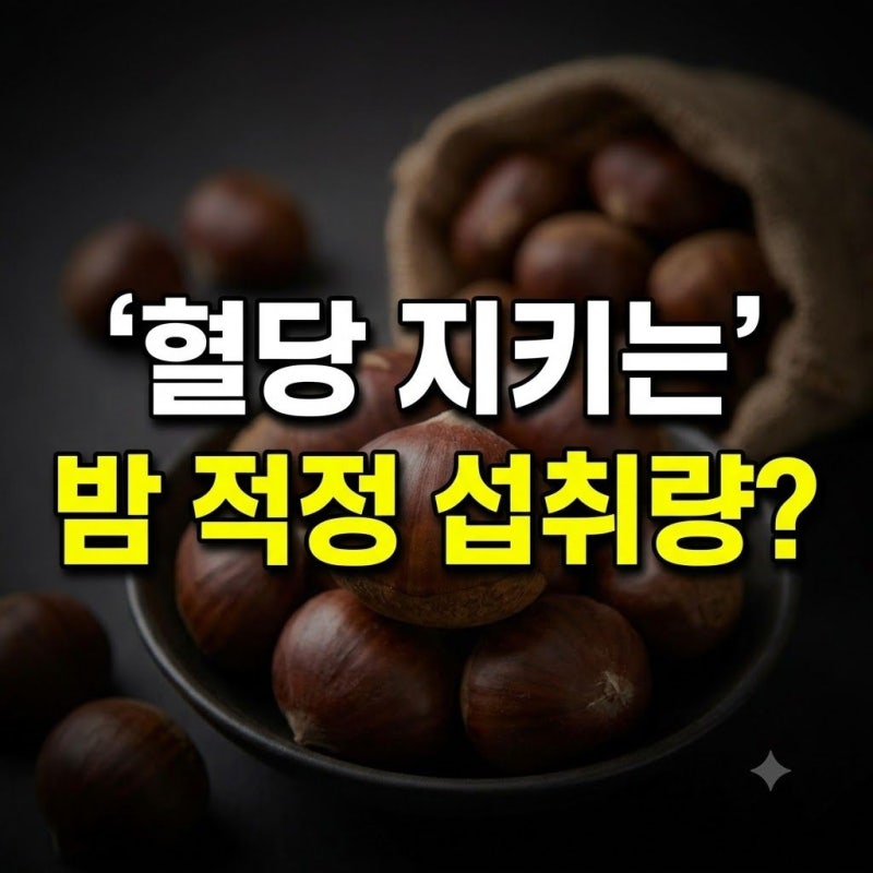 밤의 효능과 영양성분 총정리 | 삶은밤·찐밤·군밤 차이와 하루 권장량