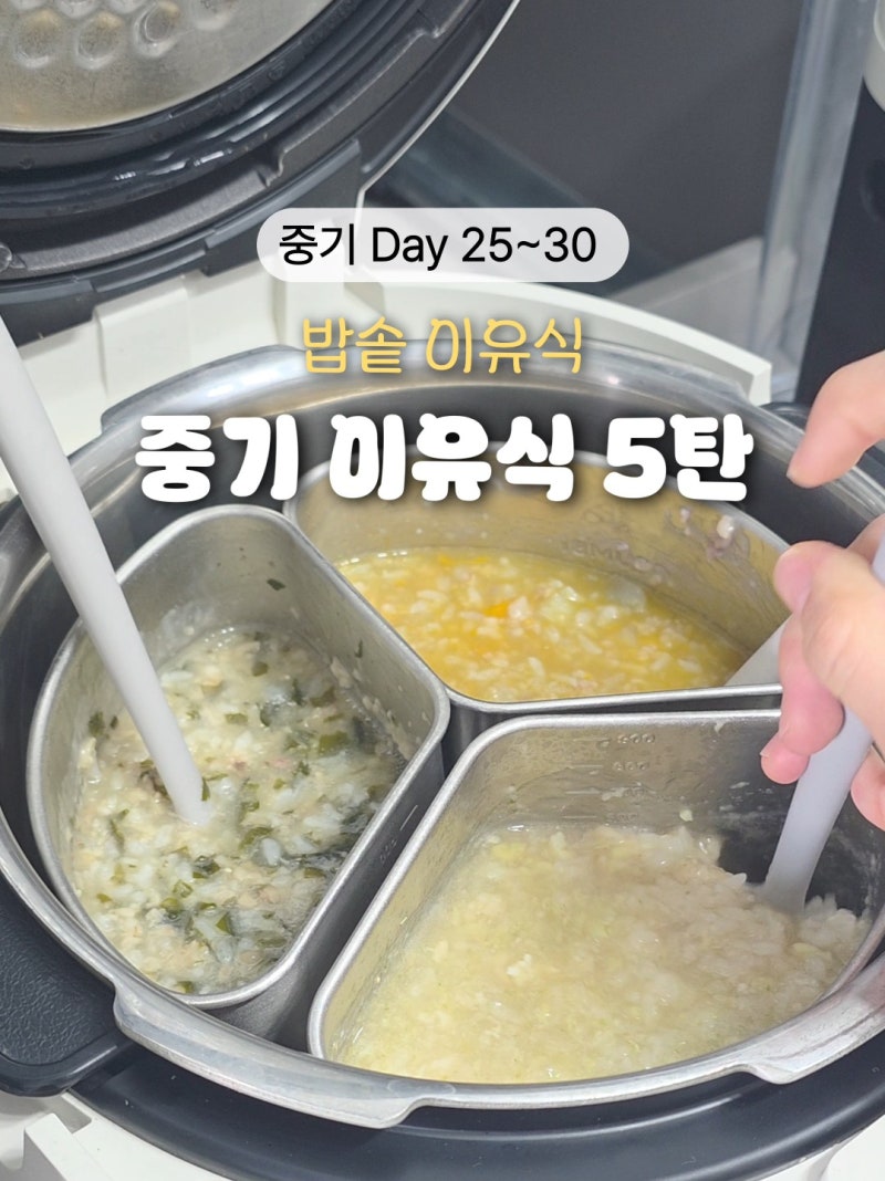 중기 밥솥이유식 레시피 5탄! 꿈비 10인용 밥솥칸막이 황금비율 공유 (new. 미역 가자미살 고구....