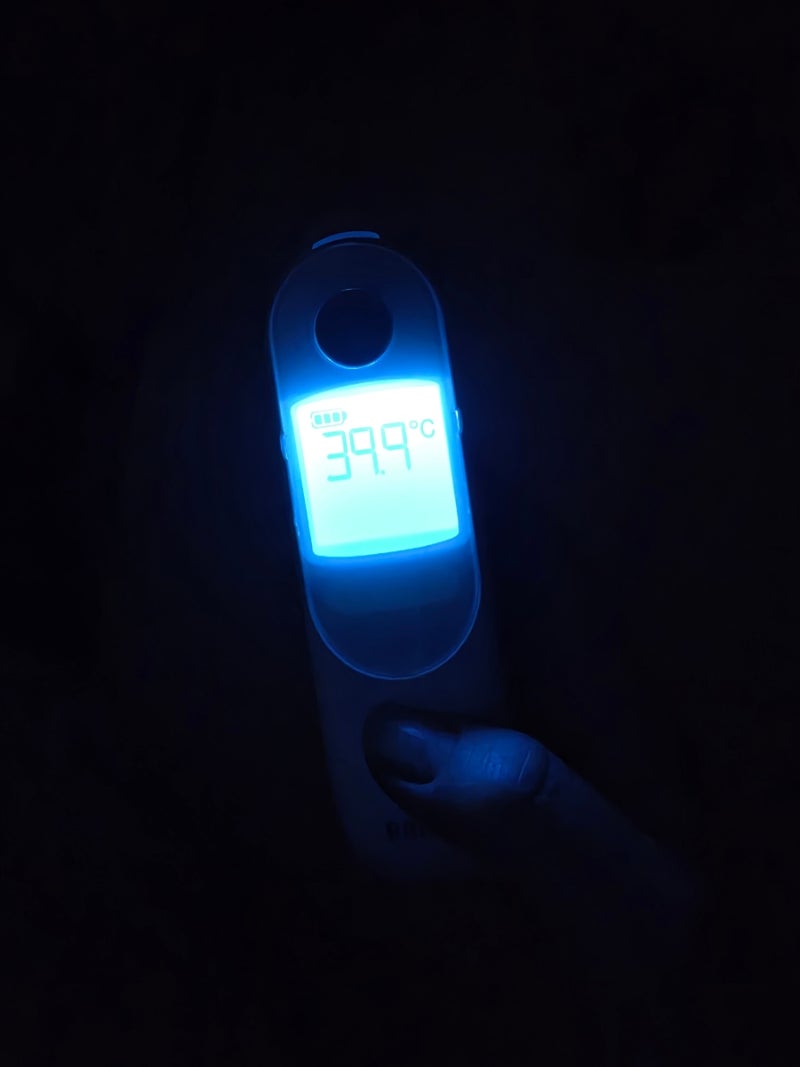 23개월 아기 돌발진 후기｜39.9도 고열부터 온몸 열꽃까지 발진 관리법