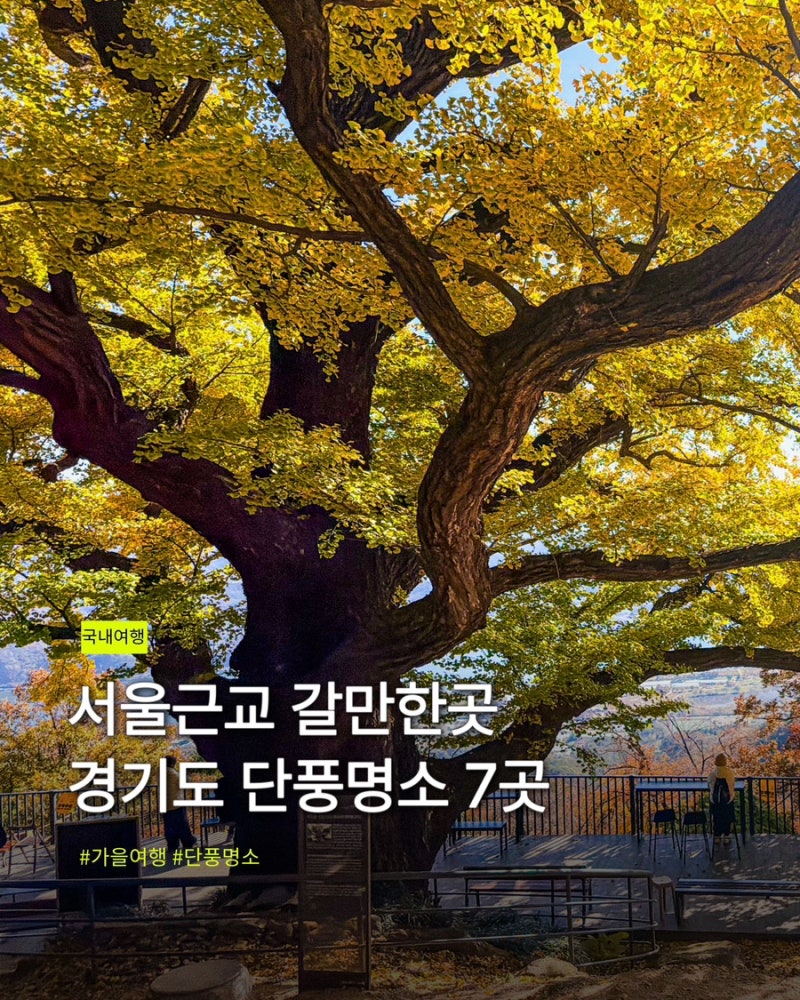 서울근교 갈만한곳 경기도 단풍명소 7곳 추천