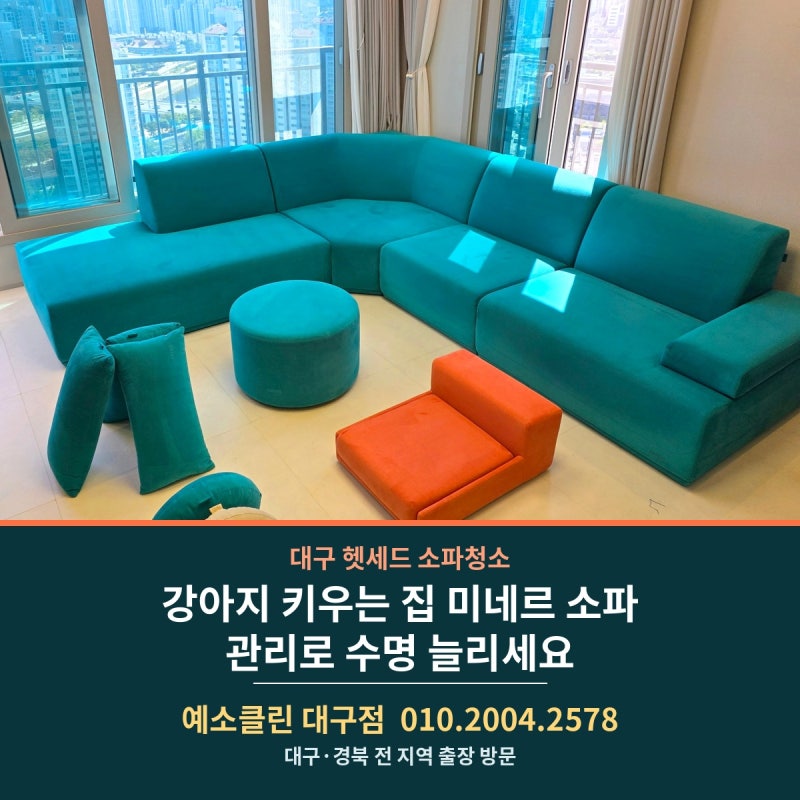 [대구 헷세드 소파청소] 강아지 키우는 집 미네르 소파, 관리로 수명 늘리세요