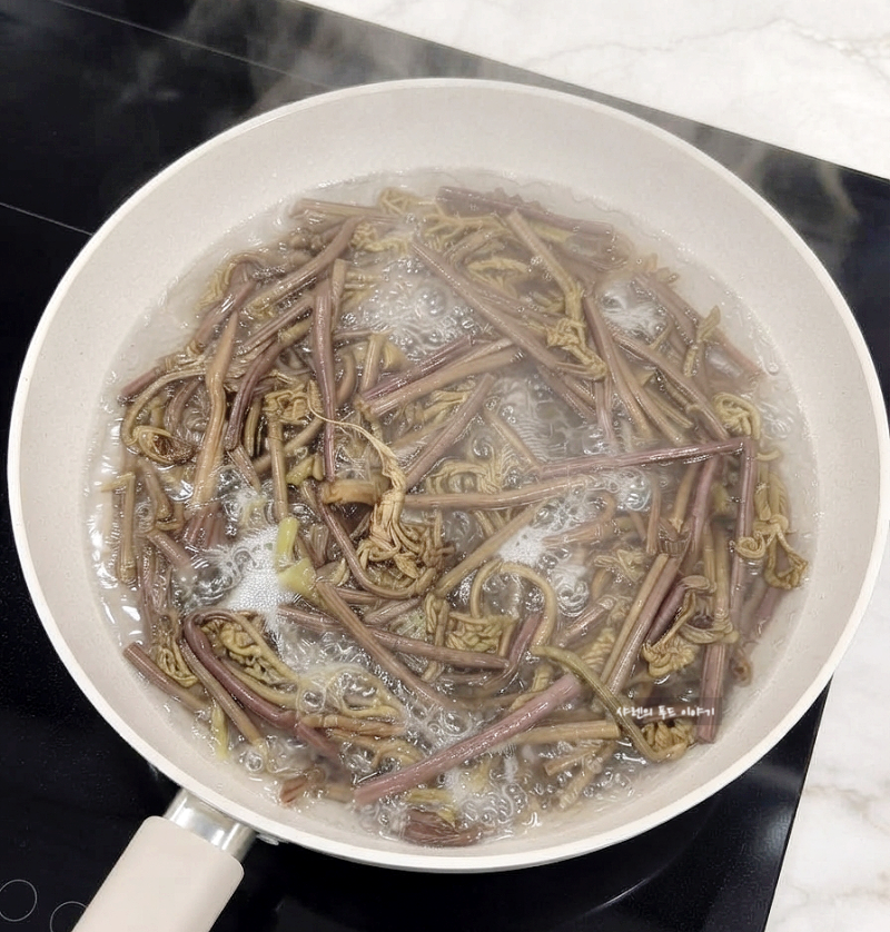 말린고사리 삶는법, 마른고사리 몇 분 삶을까? 불리기 독성 보관법