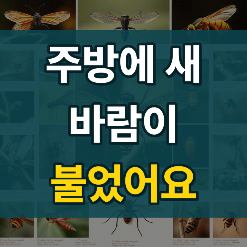 에버스텐 믹싱볼 채반 6종 풀세트 스텐 국내생산 쌀 다라이 양념 보관 세척볼