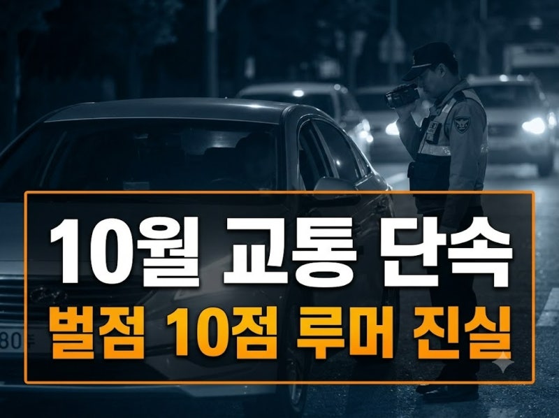 10월부터 시작된 교통 단속 총정리 | 깜빡이·안전띠·안전모 범칙금과 벌점 10점 루머 진실