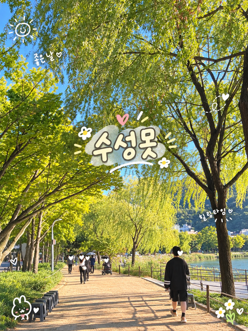 대구 수성못ㅣ산책, 운동, 야경, 데이트, 음악 분수, 주차 동네 주민이 알려주는 수성못의 모....