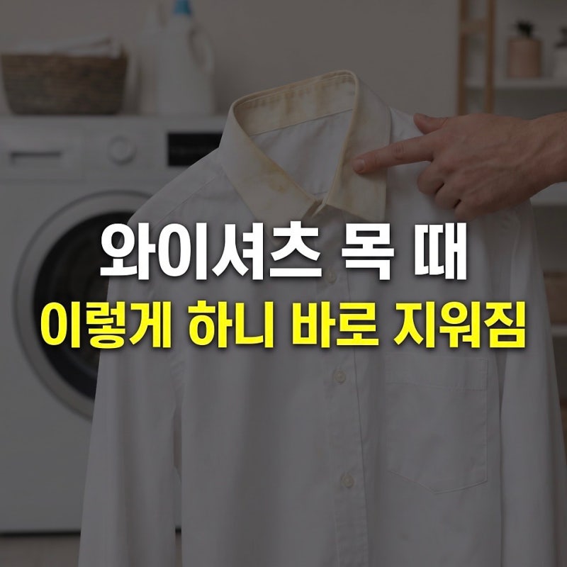 와이셔츠 목때 소매 깃 찌든 때 지우기 세탁기 넣기 전 샴푸 주방세제 애벌빨래 꿀팁