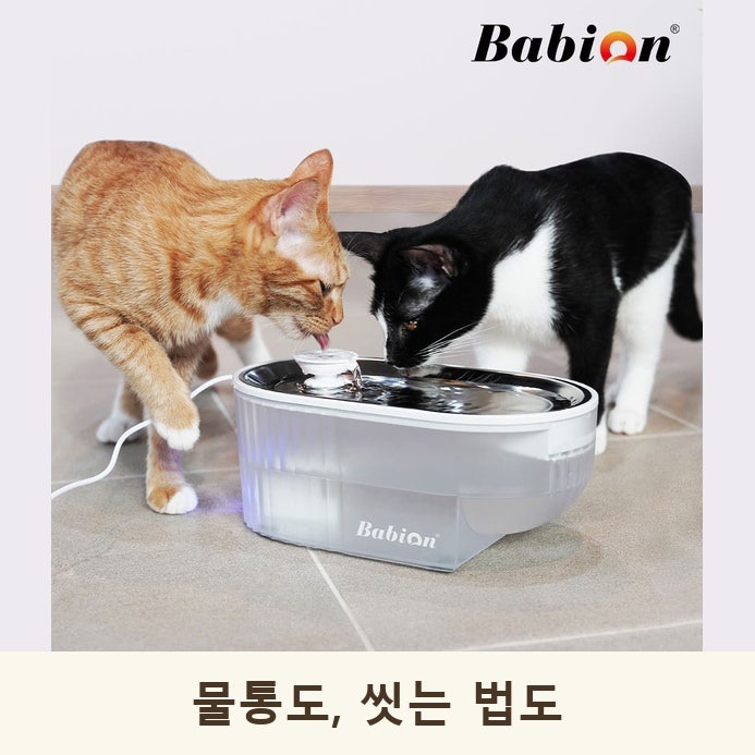 고양이 정수기 추천 2026, 모닝커들·플로우·바비온 구조와 세척 비교