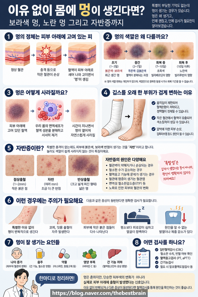 이유 없이 몸에 멍이 생긴다면? 보라색 멍, 노란 멍 그리고 자반증 신중동역 한의원 부천 한....