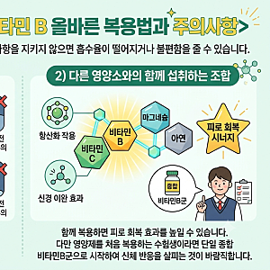 수험생 비타민B 추천: 집중력 증진과 피로 회복을 위한 영양제 선택 기준