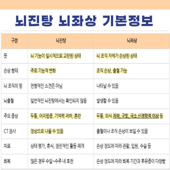 뇌진탕 뇌좌상 기본정보 차이점