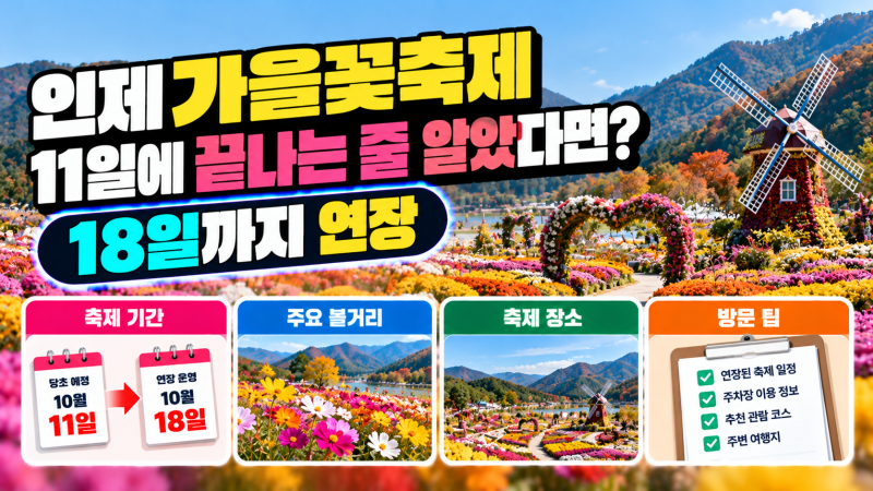 인제가을꽃축제 11일에 끝나는 줄 알았다면? | 18일까지 연장
