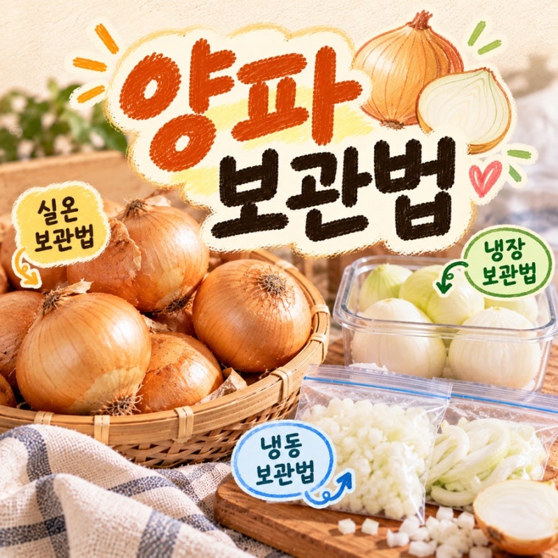 양파 보관법 총정리｜실온·냉장·냉동 보관기간과 싹 나지 않게 보관하는 방법