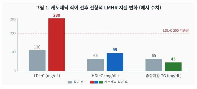 케토제닉 식단 후 LDL 콜레스테롤이 300까지 올랐다면: Lean Mass Hyper-Responder (LMHR)의 기전, 연구 ....