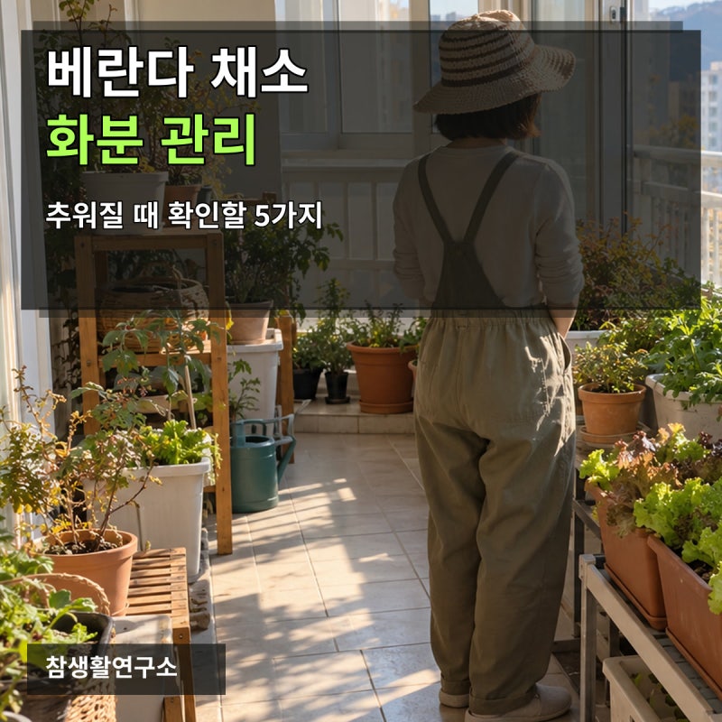 베란다 채소 화분 관리, 추워질 때 확인할 5가지