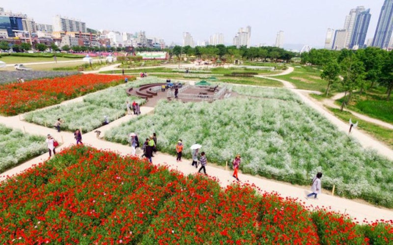 낮에는 초록 숲길 밤에는 은하수길, 태화강 국가정원·십리대숲 여행 후기 | 울산 가볼만한 ....