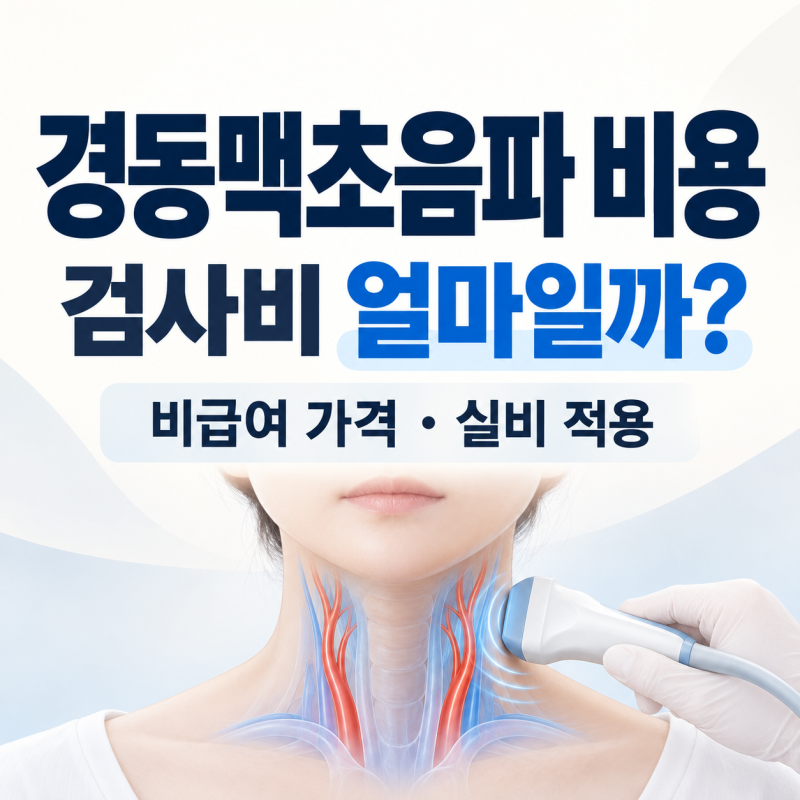 경동맥초음파 비용 얼마일까? 비급여 가격과 실비 적용 조건