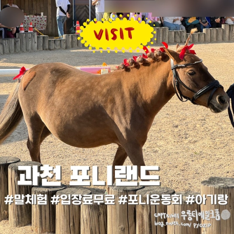 과천 포니랜드 아기랑 가볼만한곳, 입장료 무료에 포니운동회까지 (렛츠런파크 서울)