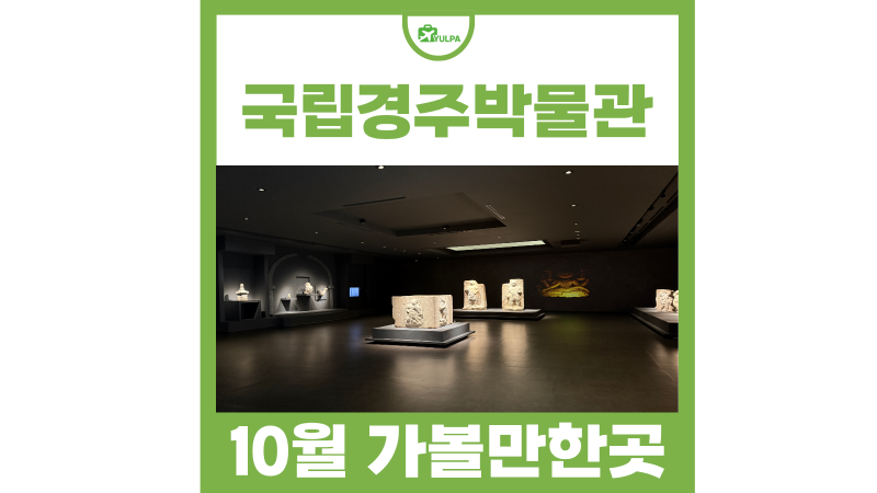 10월 경주 가볼만한곳 국립경주박물관 주차 도슨트 예약
