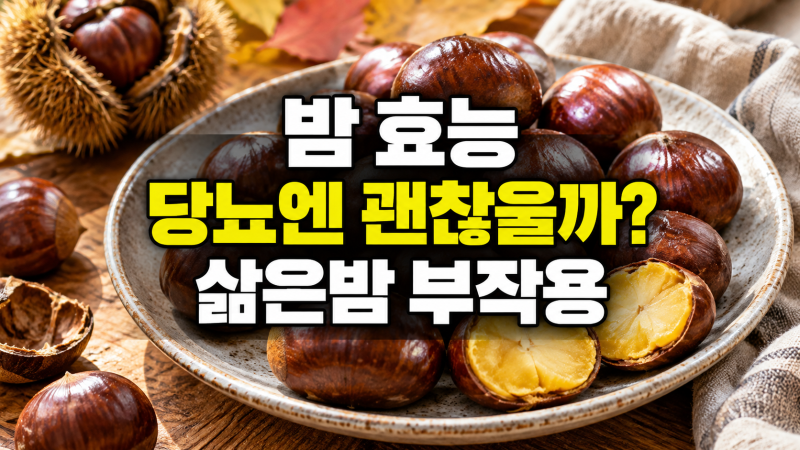 밤 효능 당뇨엔 괜찮을까, 삶은밤 부작용까지 총정리