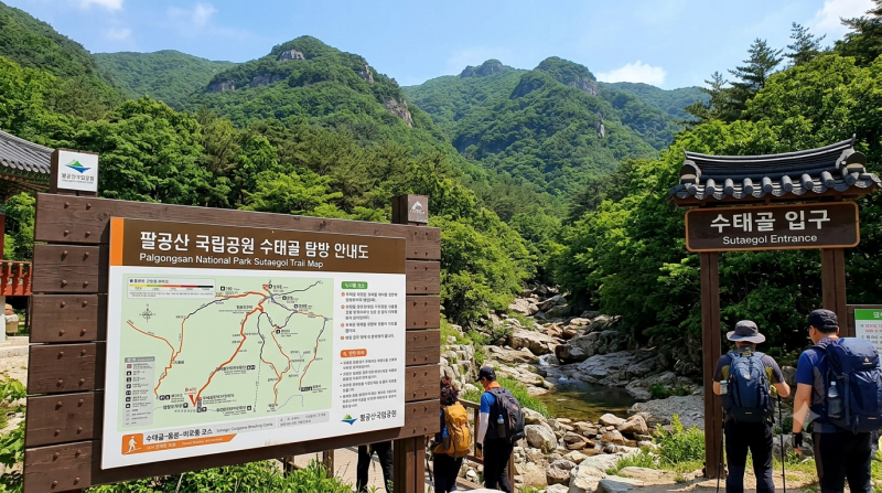 [팔공산 등산코스 추천] 초보자도 가능한 비로봉 최단코스 주차장 및 소요시간 정리