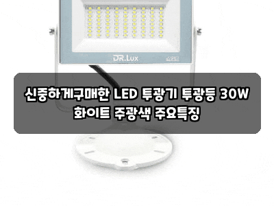 신중하게구매한 LED 투광기 투광등 30W 화이트 주광색 주요특징