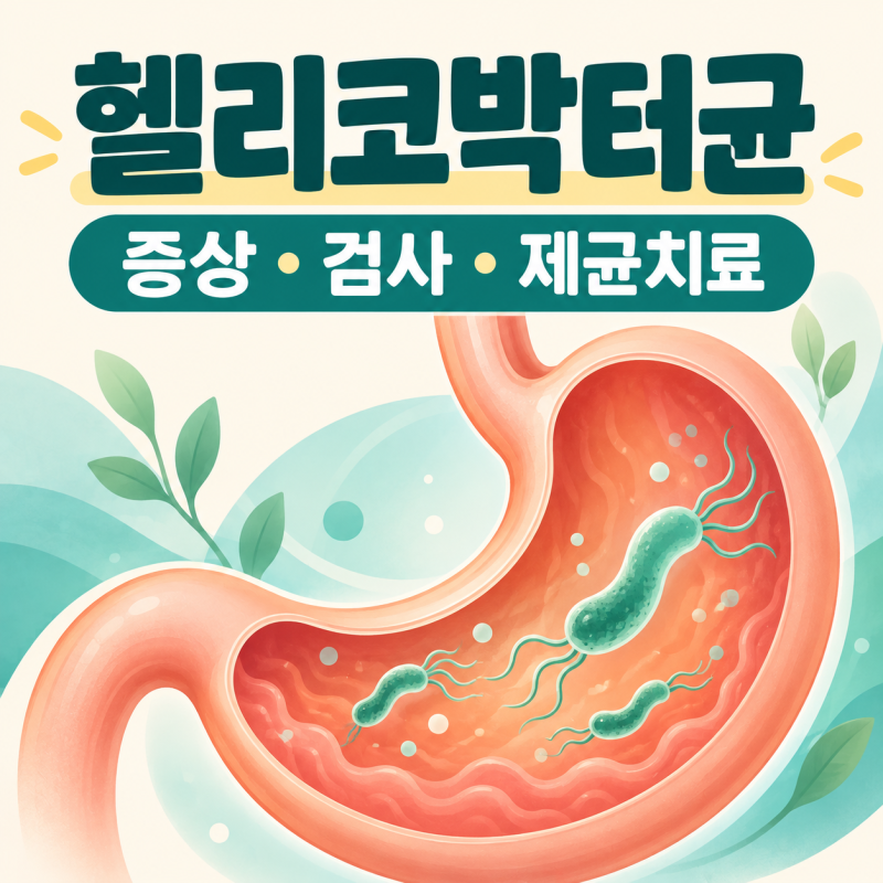 헬리코박터균 증상부터 검사·제균치료까지, 치료할 때 알아둘 점