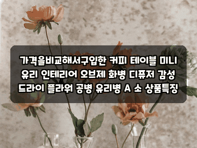 가격을비교해서구입한 커피 테이블 미니 유리 인테리어 오브제 화병 디퓨저 감성 드라이 플....